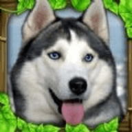 流浪狗模拟器V1.2 安卓版